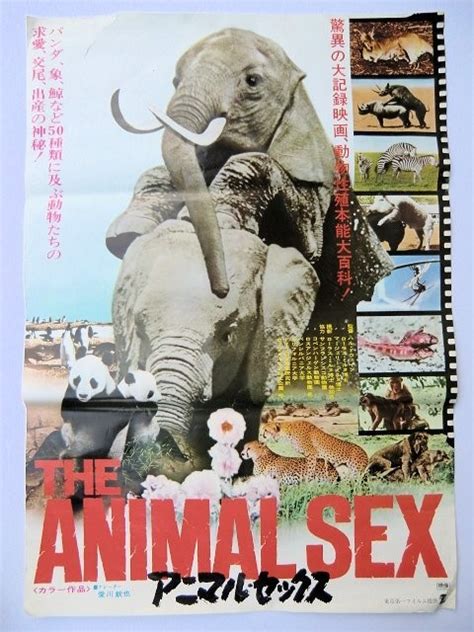 animal pron movie